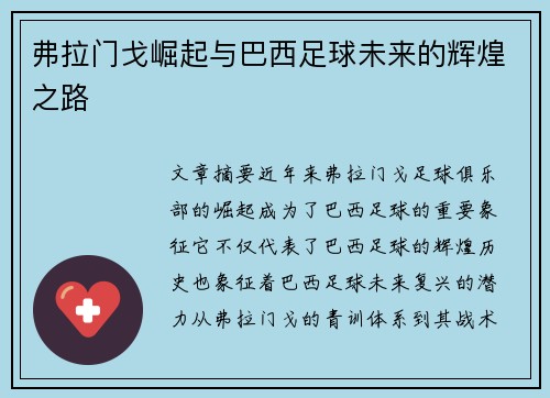 弗拉门戈崛起与巴西足球未来的辉煌之路